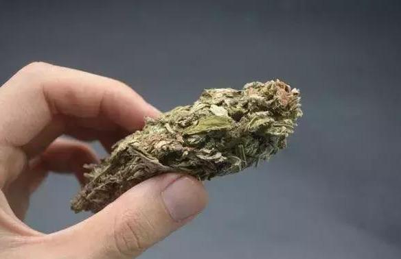 艾草熏房间的正确做法,艾草功效多!