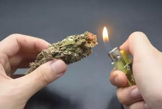 艾草熏房间的正确做法