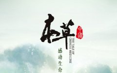 央视纪录片《本草中国》第二季推介蕲艾