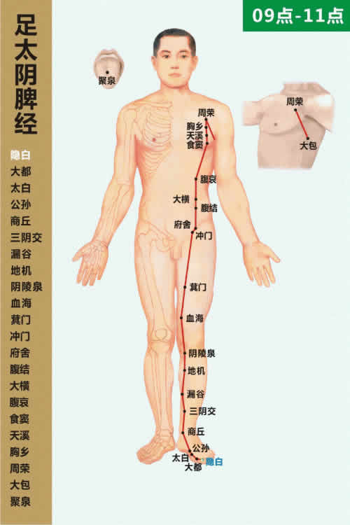 慢性病防治艾灸脾经