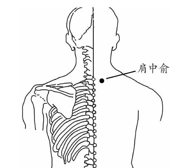 4,夹脊穴:     标准定位:夹脊在背腰部,当第一胸椎至第五腰椎棘