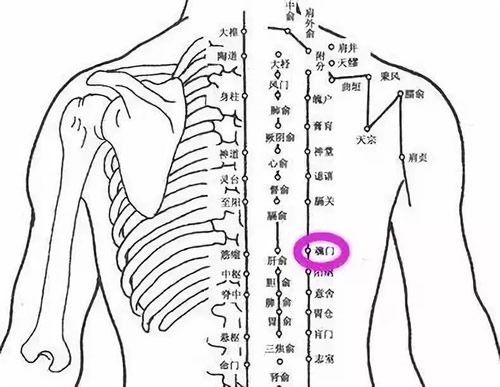 魂门穴