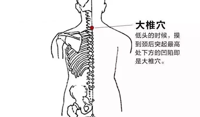 冬季养生艾灸穴位图