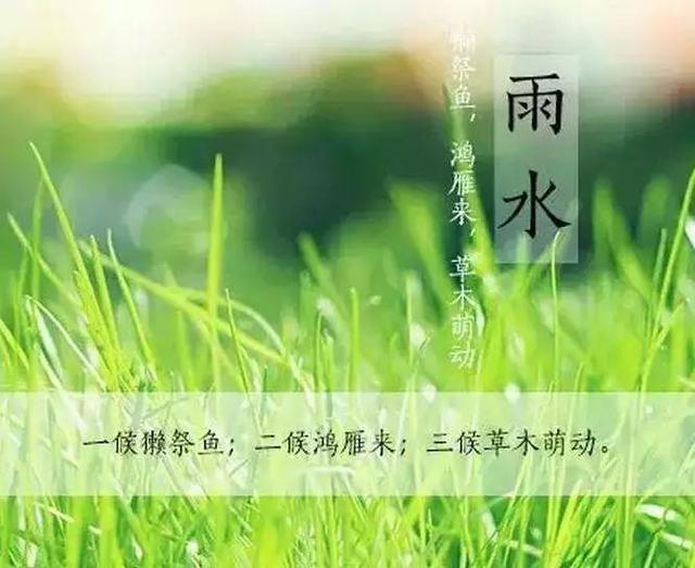 雨水节气灸,防春寒艾灸脾胃养为先!