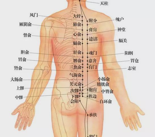 艾灸这个穴位竟然可以治疗风寒咳喘