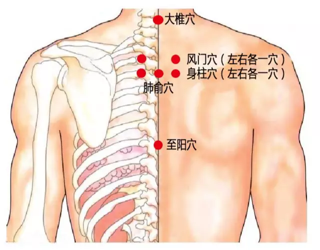 大椎穴