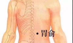 胃俞穴位位置图及功效作用