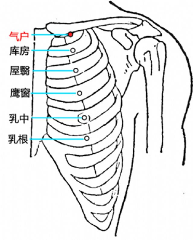 气户穴的准确穴位图及功效作用