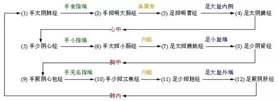 十二经脉流注次序