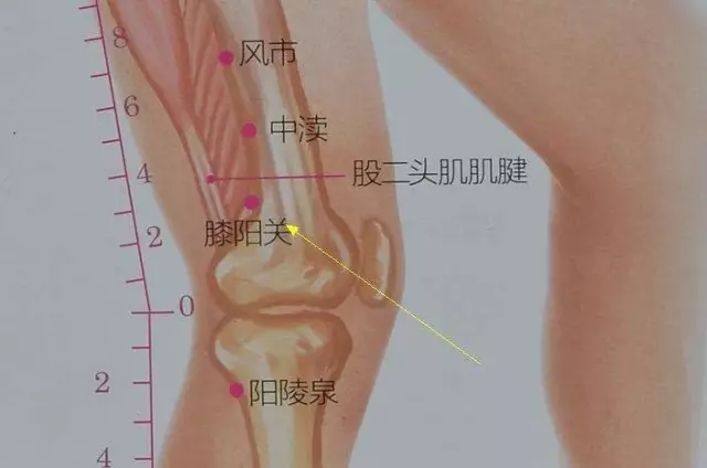 中渎穴的准确穴位图