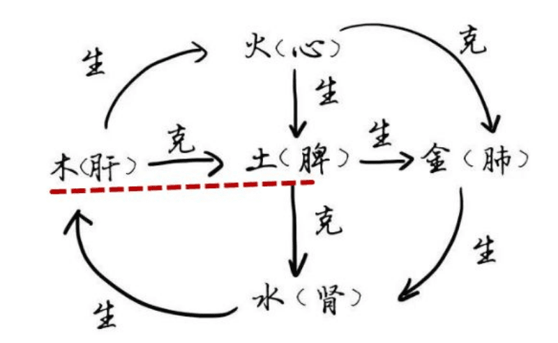 脾胃不好的症状